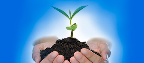 Blog_LeadNurturing